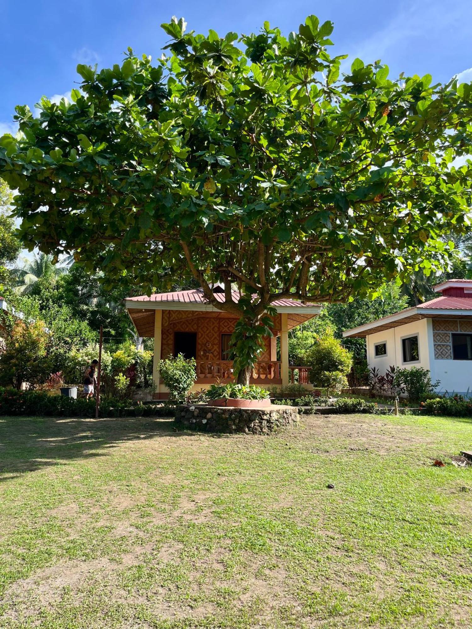 Paco'S Garden Home Stay Mambajao Exterior foto